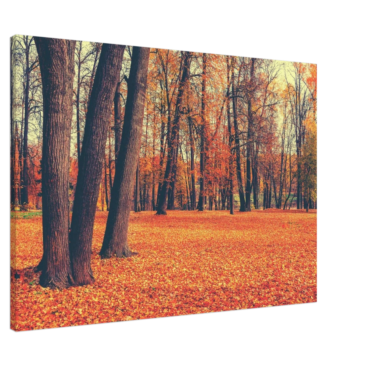 “Golden Silence in Autumn – A Tranquil Forest Escape” | Wall Art Print - Canvas - 70x100 cm / 28x40″ - 