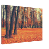 “Golden Silence in Autumn – A Tranquil Forest Escape” | Wall Art Print - Canvas - 70x100 cm / 28x40″ - 