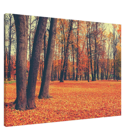 “Golden Silence in Autumn – A Tranquil Forest Escape” | Wall Art Print - Canvas - 70x100 cm / 28x40″ - 