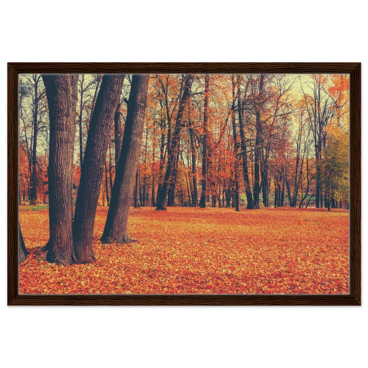 “Golden Silence in Autumn – A Tranquil Forest Escape” | Wall Art Print - Framed Canvas - 50x75 cm / 20x30″ - Dark wood frame
