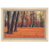 “Golden Silence in Autumn – A Tranquil Forest Escape” | Wall Art Print - Framed Canvas - 20x30 cm / 8x12″ - Wood frame