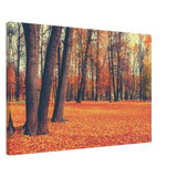 “Golden Silence in Autumn – A Tranquil Forest Escape” | Wall Art Print - Canvas - 50x75 cm / 20x30″ - 