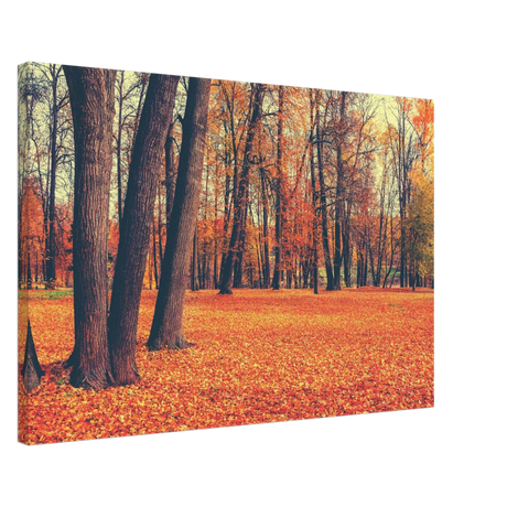 “Golden Silence in Autumn – A Tranquil Forest Escape” | Wall Art Print - Canvas - 50x75 cm / 20x30″ - 