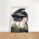 Great blue Heron by John James 1834 | wall Art Print - Brushed Aluminum Print - 60x90 cm / 24x36″ - 