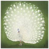 Green Peacock by Ohara Koson | Wall art Print - 40x40 cm / 16x16″ - Aluminum Print - 