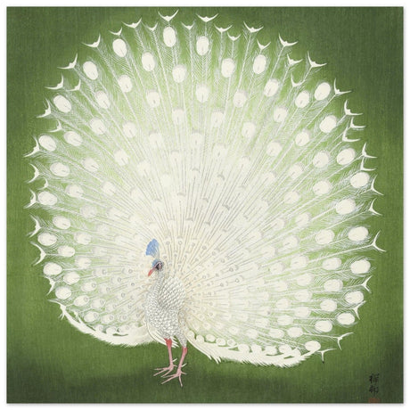 Green Peacock by Ohara Koson | Wall art Print - 40x40 cm / 16x16″ - Aluminum Print - 