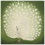 Green Peacock by Ohara Koson | Wall art Print - 50x50 cm / 20x20″ - Wood Prints - 