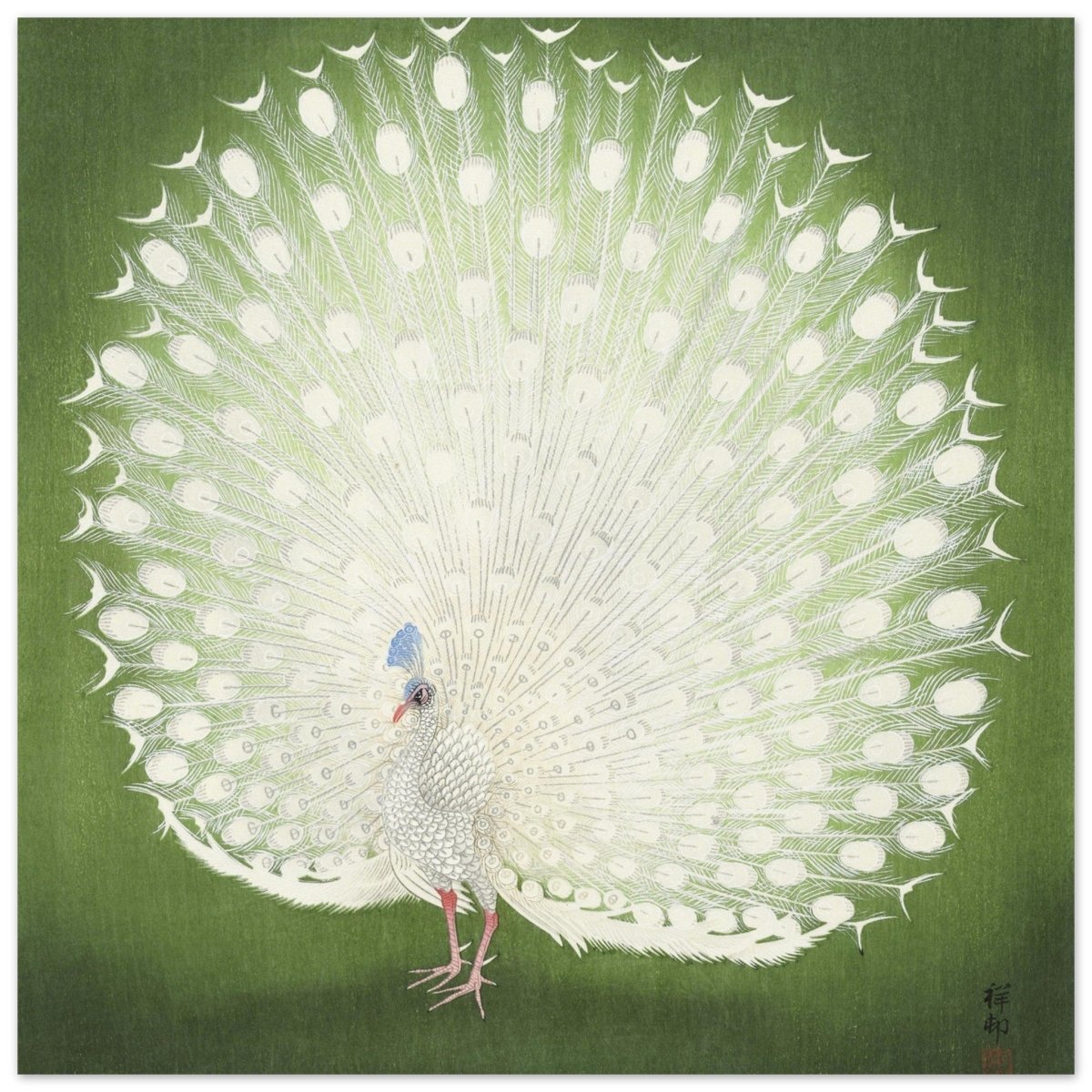 Green Peacock by Ohara Koson | Wall art Print - 60x60 cm / 24x24″ - Aluminum Print - 