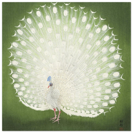 Green Peacock by Ohara Koson | Wall art Print - 60x60 cm / 24x24″ - Aluminum Print - 