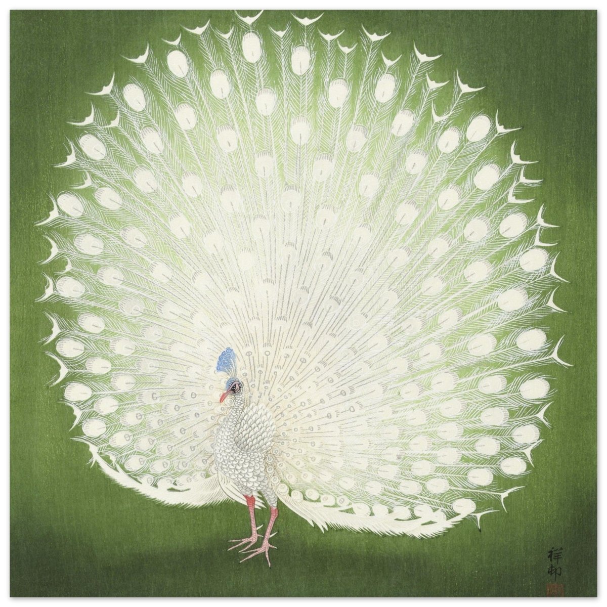Green Peacock by Ohara Koson | Wall art Print - 30x30 cm / 12x12″ - Aluminum Print - 