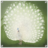Green Peacock by Ohara Koson | Wall art Print - 50x50 cm / 20x20″ - Acrylic Print - 