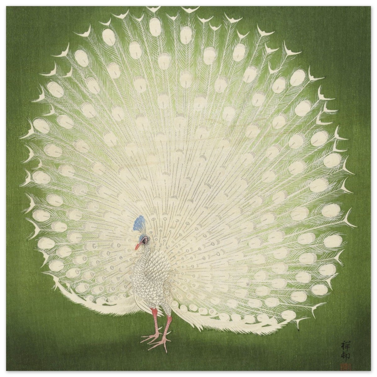 Green Peacock by Ohara Koson | Wall art Print - 60x60 cm / 24x24″ - Wood Prints - 