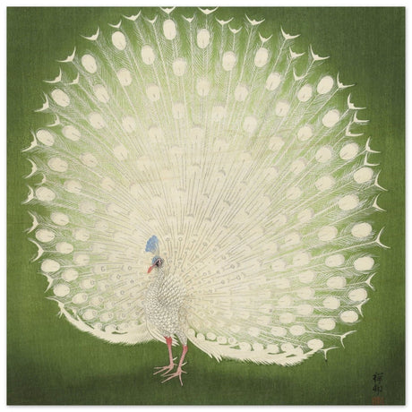 Green Peacock by Ohara Koson | Wall art Print - 60x60 cm / 24x24″ - Wood Prints - 
