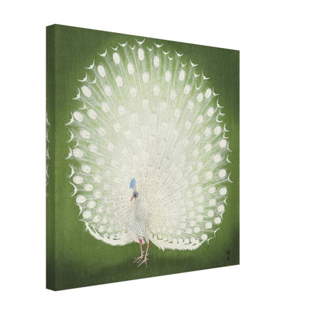 Green Peacock by Ohara Koson | Wall art Print - 40x40 cm / 16x16″ - Canvas - 