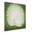 Green Peacock by Ohara Koson | Wall art Print - 60x60 cm / 24x24″ - Canvas - 