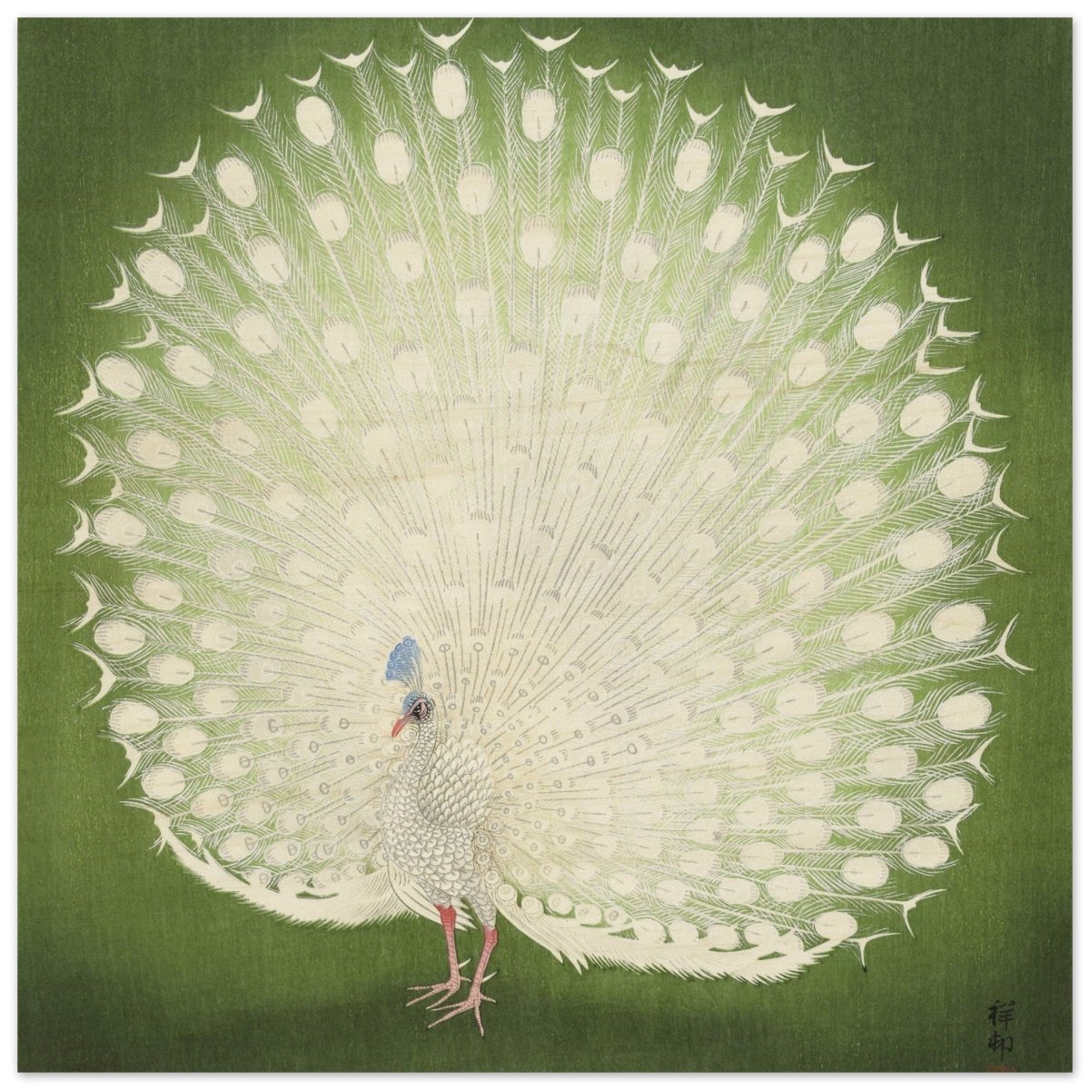 Green Peacock by Ohara Koson | Wall art Print - 40x40 cm / 16x16″ - Wood Prints - 