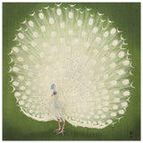 Green Peacock by Ohara Koson | Wall art Print - 40x40 cm / 16x16″ - Wood Prints - 