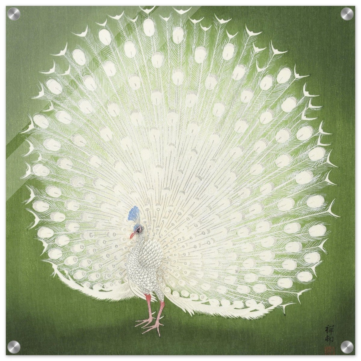 Green Peacock by Ohara Koson | Wall art Print - 60x60 cm / 24x24″ - Acrylic Print - 