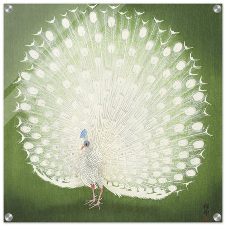 Green Peacock by Ohara Koson | Wall art Print - 60x60 cm / 24x24″ - Acrylic Print - 