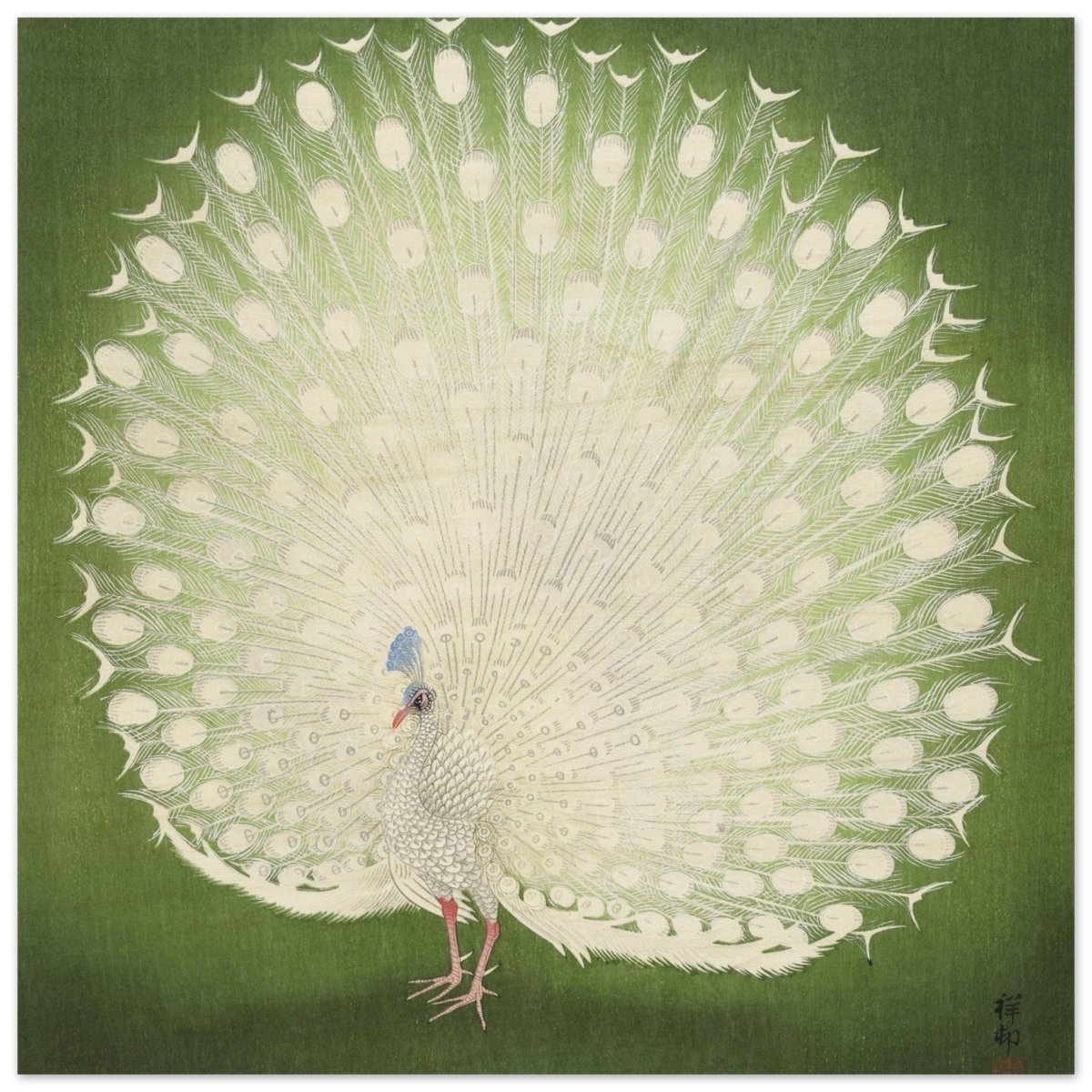 Green Peacock by Ohara Koson | Wall art Print - 30x30 cm / 12x12″ - Wood Prints - 