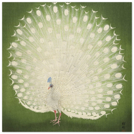 Green Peacock by Ohara Koson | Wall art Print - 30x30 cm / 12x12″ - Wood Prints - 