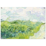 Green Wheat Fields, Auvers by Vincent van Gogh | vintage wall art print - Acrylic Print - 50x70 cm / 20x28″ - 