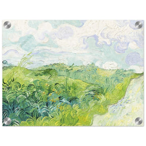 Green Wheat Fields, Auvers by Vincent van Gogh | vintage wall art print - Acrylic Print - 30x40 cm / 12x16″ - 