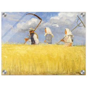 Harvesters by Anna Ancher (1905) | Vintage Art wall art print - Acrylic Print - 30x40 cm / 12x16″ - 