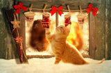 Holiday Hearth - A Cozy Christmas Glow| Christmas Collection | 3 Design Options - 30x45 cm / 12x18″ - Design Option 3 - Acrylic Print