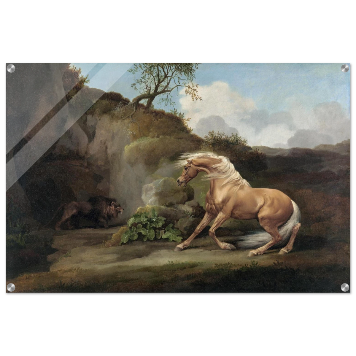 Horse Frightened by a Lion – George Stubbs Wall Art Print - Acrylic Print - 60x90 cm / 24x36″ - 
