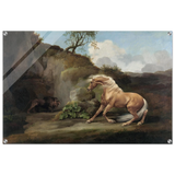 Horse Frightened by a Lion – George Stubbs Wall Art Print - Acrylic Print - 60x90 cm / 24x36″ - 