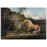 Horse Frightened by a Lion – George Stubbs Wall Art Print - Fine Art Poster - 70x100 cm / 28x40″ - 