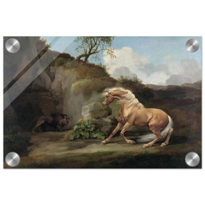 Horse Frightened by a Lion – George Stubbs Wall Art Print - Acrylic Print - 20x30 cm / 8x12″ - 