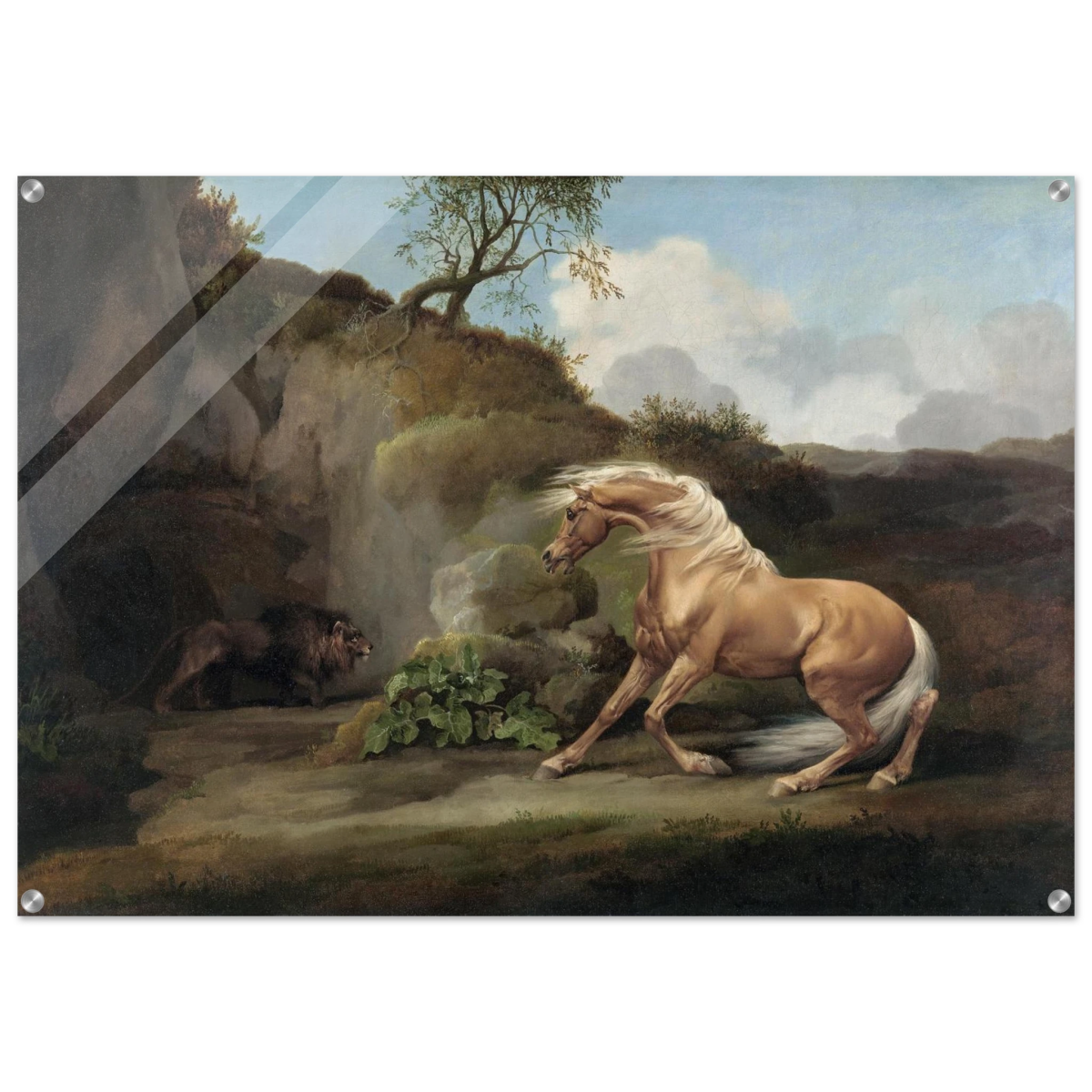 Horse Frightened by a Lion – George Stubbs Wall Art Print - Acrylic Print - 70x100 cm / 28x40″ - 