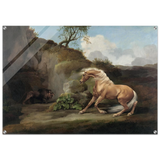 Horse Frightened by a Lion – George Stubbs Wall Art Print - Acrylic Print - 70x100 cm / 28x40″ - 