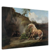Horse Frightened by a Lion – George Stubbs Wall Art Print - Canvas - 60x90 cm / 24x36″ - 