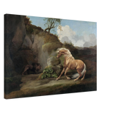 Horse Frightened by a Lion – George Stubbs Wall Art Print - Canvas - 50x75 cm / 20x30″ - 