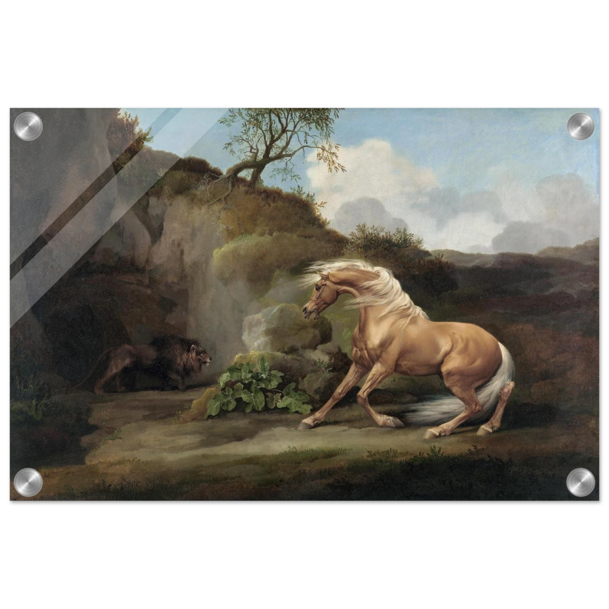 Horse Frightened by a Lion – George Stubbs Wall Art Print - Acrylic Print - 30x45 cm / 12x18″ - 