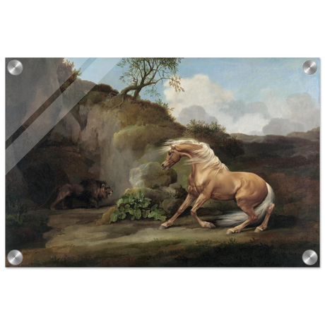 Horse Frightened by a Lion – George Stubbs Wall Art Print - Acrylic Print - 30x45 cm / 12x18″ - 