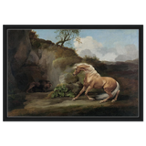 Horse Frightened by a Lion – George Stubbs Wall Art Print - Framed Canvas - 50x75 cm / 20x30″ - Black frame