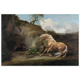 Horse Frightened by a Lion – George Stubbs Wall Art Print - Fine Art Poster - 60x90 cm / 24x36″ - 