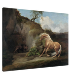 Horse Frightened by a Lion – George Stubbs Wall Art Print - Canvas - 70x100 cm / 28x40″ - 