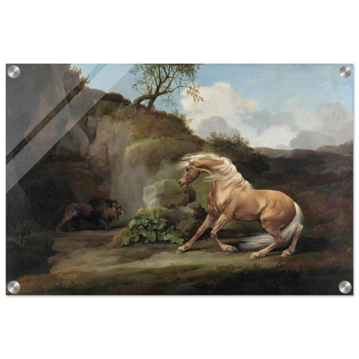 Horse Frightened by a Lion – George Stubbs Wall Art Print - Acrylic Print - 40x60 cm / 16x24″ - 