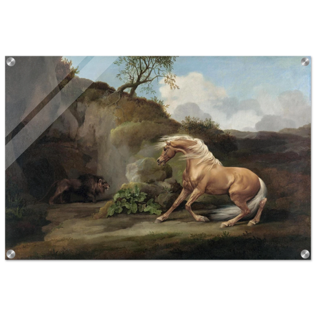 Horse Frightened by a Lion – George Stubbs Wall Art Print - Acrylic Print - 50x75 cm / 20x30″ - 
