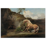 Horse Frightened by a Lion – George Stubbs Wall Art Print - Wood Prints - 50x75 cm / 20x30″ - 