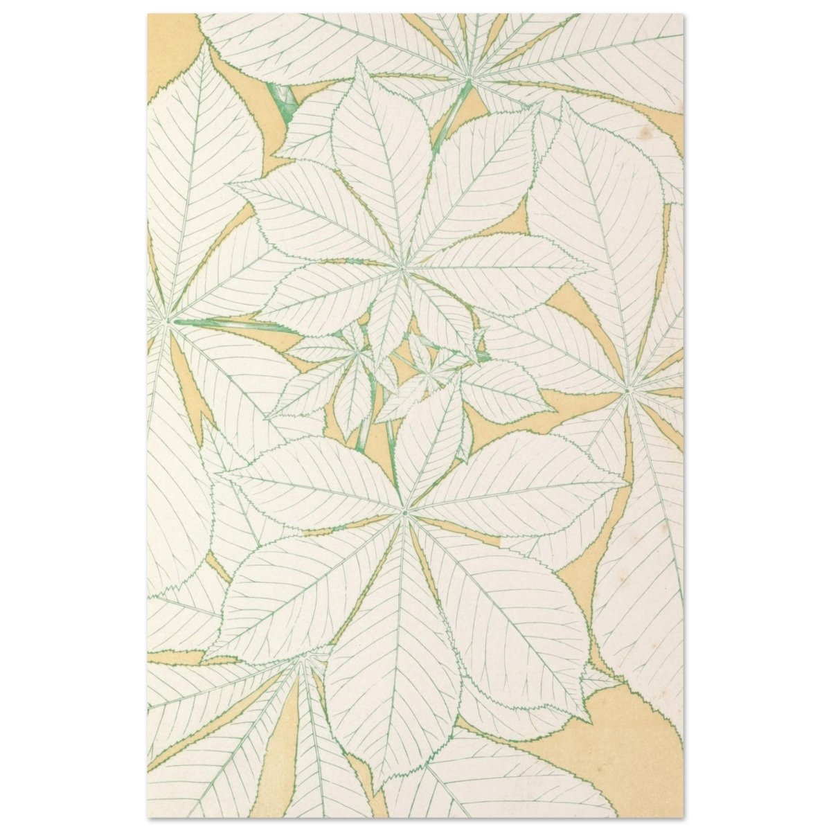 Leaves from Nature No.1 (1856) by Owen Jones | Vintage wall art print - Aluminum Print - 30x45 cm / 12x18″ - 