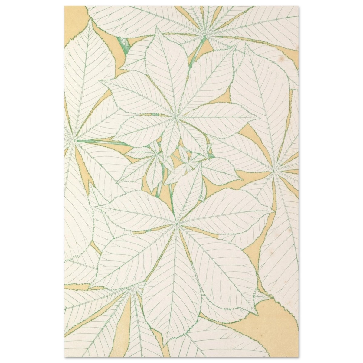 Leaves from Nature No.1 (1856) by Owen Jones | Vintage wall art print - Aluminum Print - 40x60 cm / 16x24″ - 