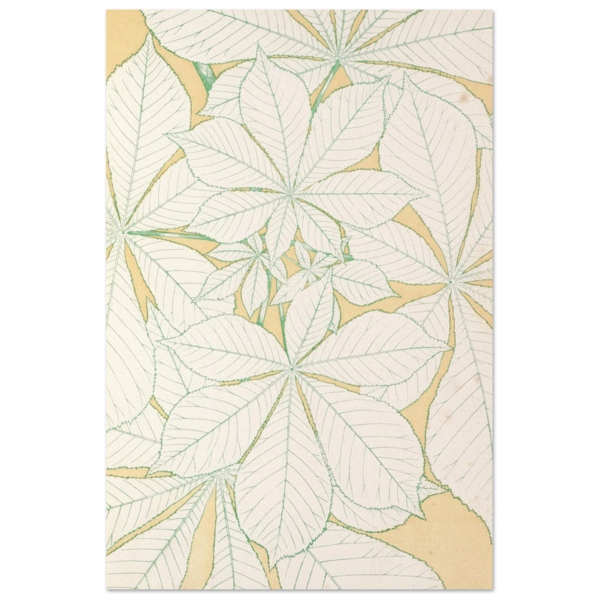 Leaves from Nature No.1 (1856) by Owen Jones | Vintage wall art print - Aluminum Print - 60x90 cm / 24x36″ - 