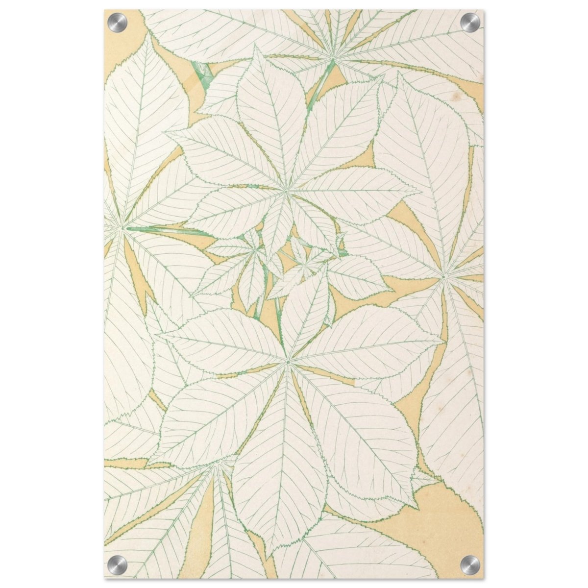 Leaves from Nature No.1 (1856) by Owen Jones | Vintage wall art print - Acrylic Print - 40x60 cm / 16x24″ - 