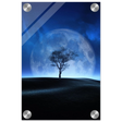 "Lunar Silence" – A Moonlit Whisper in the Night Dreamy Digital Fantasy Landscape Wall art Print - Acrylic Print - 20x30 cm / 8x12″ - 